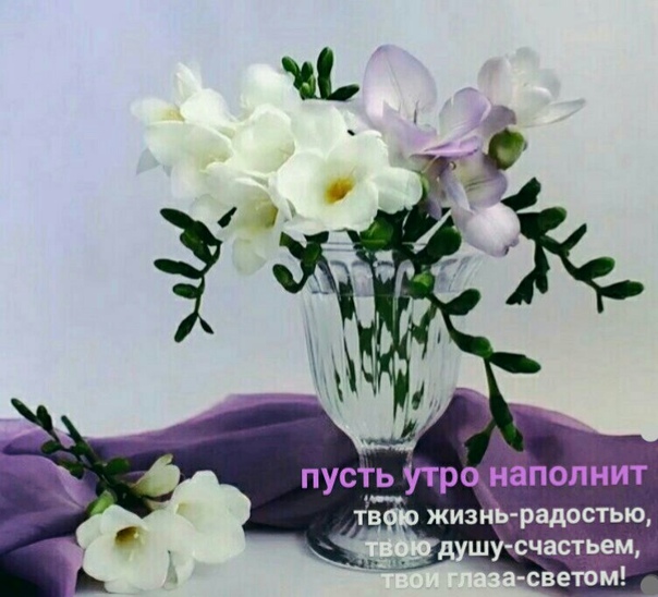 Открытки с днем рождения с фрезиями