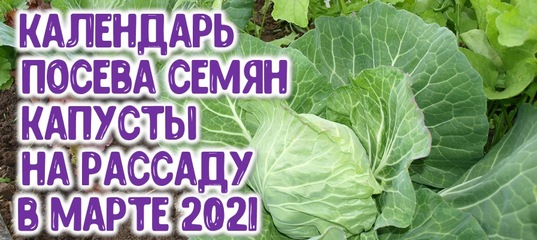 Благоприятные дни в апреле. Благоприятные дни для посадки картошки. Посадочные дни картошки. Лунный календарь посева укропа и петрушки. Благоприятные дни для посева семян цветов.