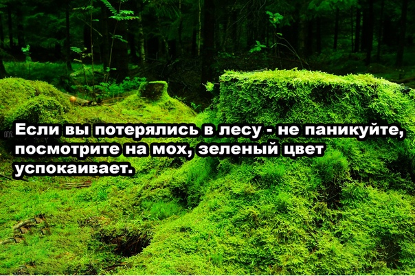 мемасики