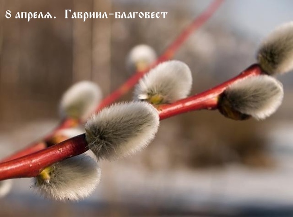 Нажми на меня