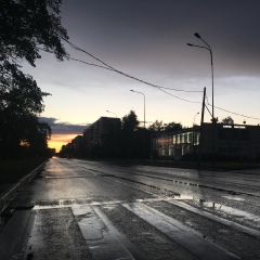 Дмитрий Шаевский