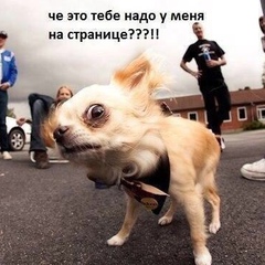 Зиновий Зыков, 5.8.1985